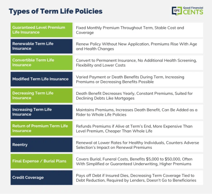What Is Term Life Insurance and How Does It Work?