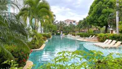 Top Hotels with Swim-Up Rooms and Ocean Views
