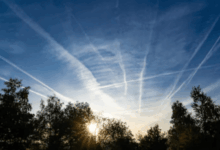 Carbon airlines offsetting schemes footprint travel ways those going well list other post have