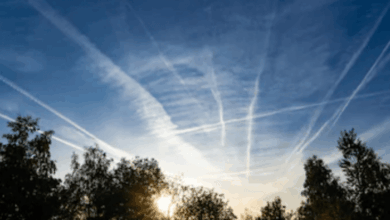 Carbon airlines offsetting schemes footprint travel ways those going well list other post have