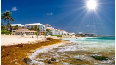 Top Luxury Hotels for Business Travelers in 2025