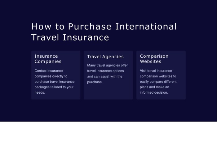 Travel Insurance Tips for International Trips
