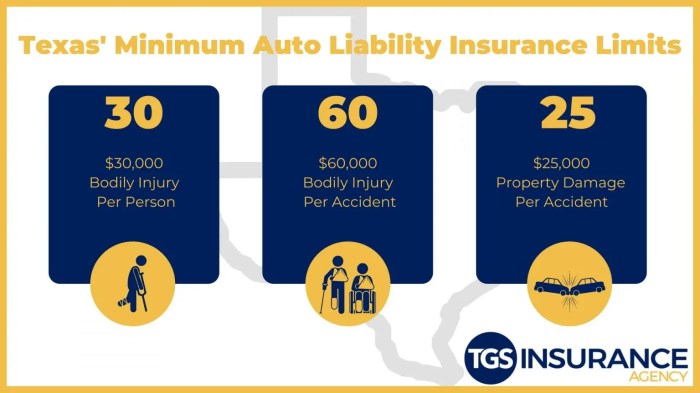 Car Insurance: What Coverage Do You Really Need?